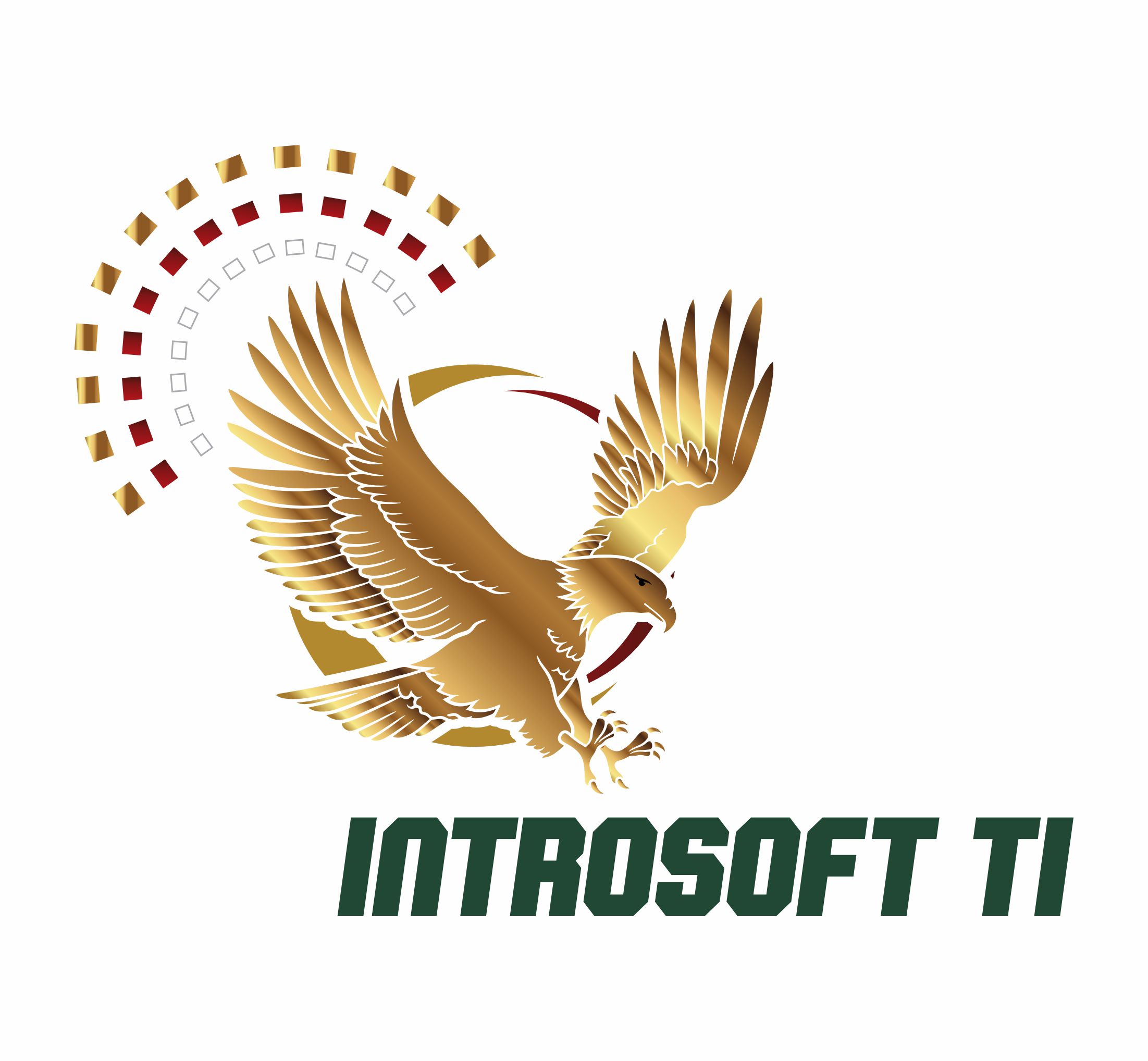 Introsoft TI Logo